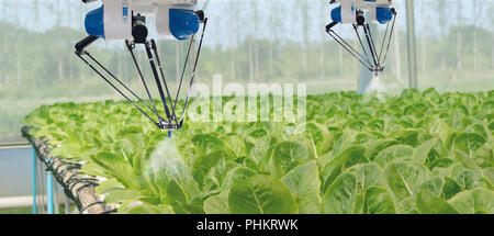 smart robotic in agriculture futuristic concept, robot farmers (automation) must be programmed to work to spray chemical,fertilizer or increase effici Stock Photo