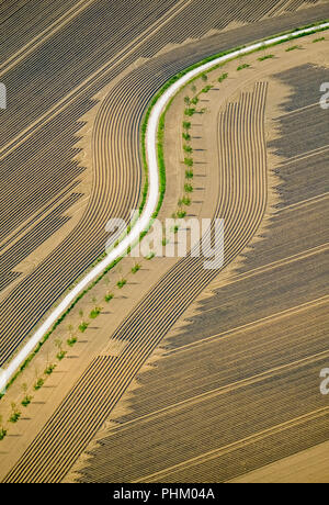 Aerial view, field with dirt road between An Der Linde and Castroper Straße in Sodingen,field, harrowed field, tire tracks, graphic tracks, Herne, Ruh Stock Photo