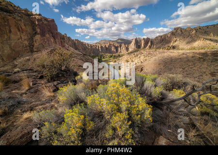 Smith Rock State Park, rabbitbrush and the Crooked River Stock Photo