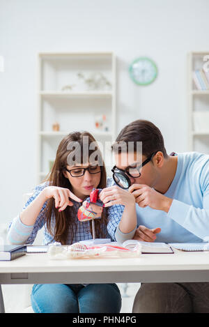 Two medical students studying in classroom Stock Photo