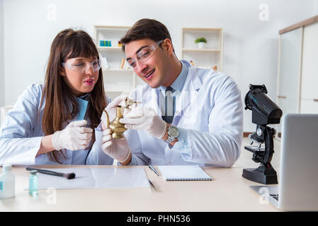 Two archeologists looking at ancient gold lamp Stock Photo