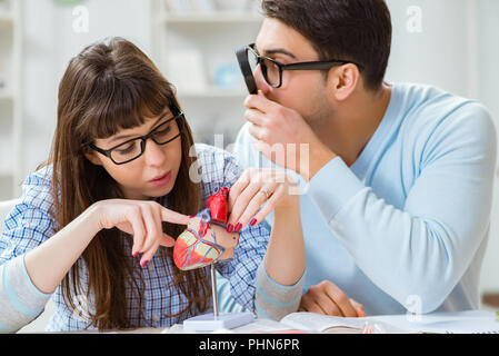 Two medical students studying in classroom Stock Photo