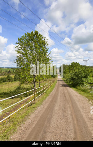 Countryside gravel road Stock Photo