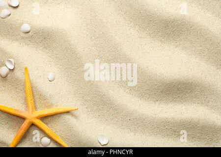 Sea sand with starfish and shells. Top view with copy space Stock Photo ...