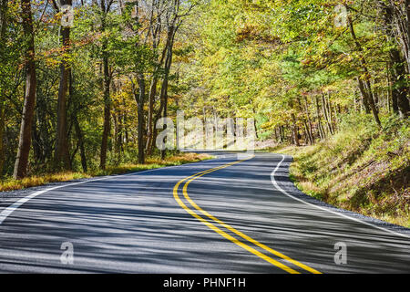 curve of the road winding through the woods Stock Photo