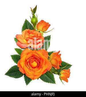 Orange rose flowers in a corner floral arrangement isolated on white Stock Photo
