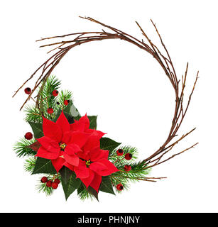 Christmas wreath with dry twigs, pine branches, red berries and poinsettia flowers isolated on white background. Flat lay. Top view. Stock Photo