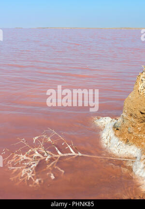 Pink salty Syvash Lake, Ukraine Stock Photo