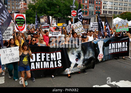 New York, NY, USA. 1st September, 2018. Animal rights activists and demonstrators march in Union Square at the Official Animal Rights March NYC organized by Surge, and Total Liberation New York. Stock Photo