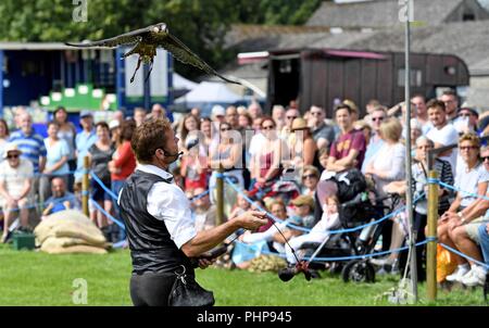 Dorset, UK. 02nd Sep, 2018. Dorset County Show, Jonathan Marshall birds of Prey entertain the crowds Credit: Finnbarr Webster/Alamy Live News Stock Photo