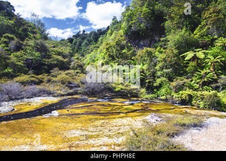 volcanic activities at waimangu Stock Photo