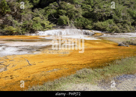 volcanic activities at waimangu Stock Photo