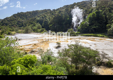 volcanic activities at waimangu Stock Photo