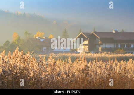 Autumn morning serene landscape with fog over lake bulrush in rural area of pastoral Upper Bavaria Stock Photo
