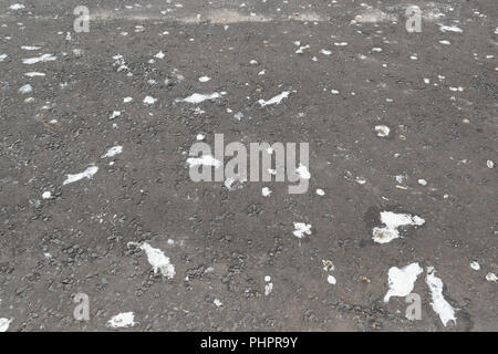 seagull droppings on tarmac Stock Photo