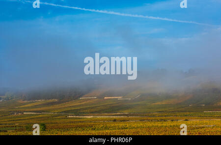 Vineyards in the foggy autumn morning, Burgundy, France Stock Photo