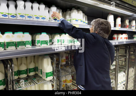 Elderly lady reaches up to top shelf as she is shopping for milk at her supermarket at Morrisons supermarket aisle, Halfway, Sheffield, England. model Stock Photo