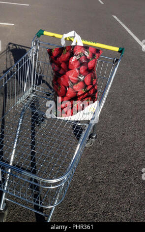 Bird's Eye View of Supermarket Stock Photo - Alamy