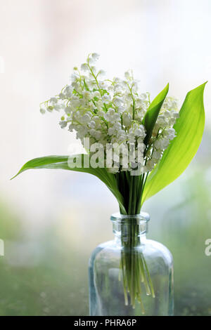 Bouquet of Lilies of the Valley Stock Photo