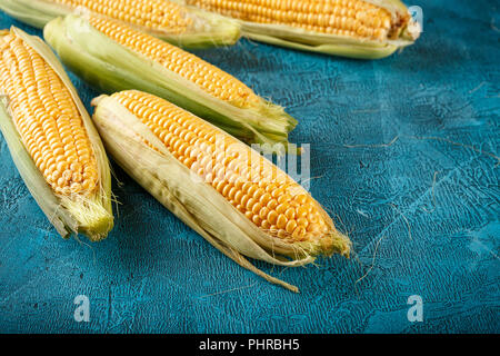 Fresh raw corn cobs Stock Photo