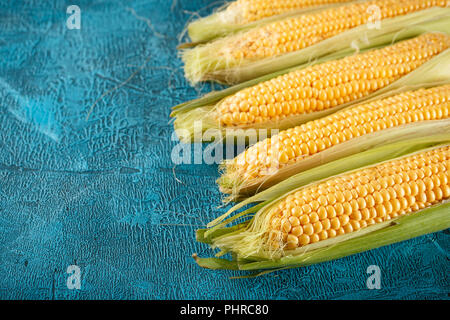 Fresh raw corn cobs Stock Photo