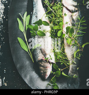 Flat-lay of raw uncooked sea bass with herbs, square crop