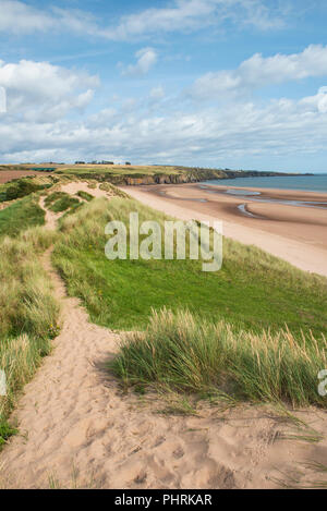 Lunan Bay beach and sand dunes, Angus, Scotland. Stock Photo