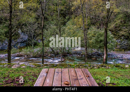 wooden picnic table on the lawn along the mountain stream in autumn Stock Photo