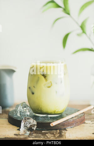 Iced matcha latte drink in glass, white wall and plant branches at background, copy space, close-up. Summer refreshing beverage cold drink Stock Photo