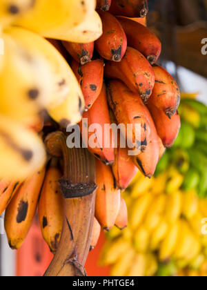 Vertical close up of lots of different types of banana in Sri Lanka. Stock Photo