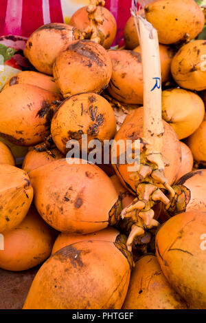 Vertical close up of King coconuts for sale in Sri Lanka. Stock Photo