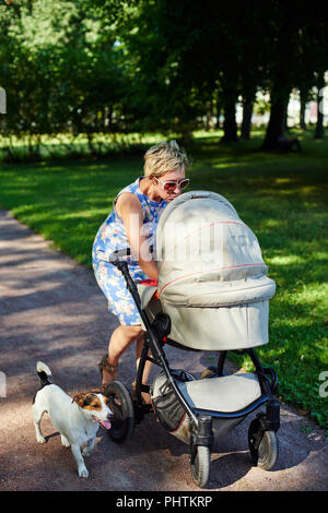 Woman walking with dog and baby carriage Stock Photo