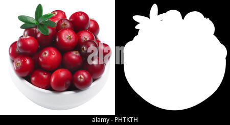 Cranberry (fruits of Vaccinium oxycoccus), bowl of, top view. Clipping paths Stock Photo