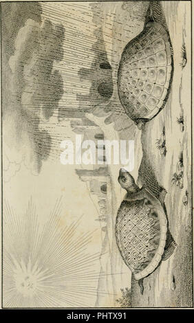 'Das Kloster, weltlich und geistlich; meist aus der ältern deutschen Volks-, Wunder-, Curiositäten-, und vorzugsweise komischen Literatur' (1845) Stock Photo