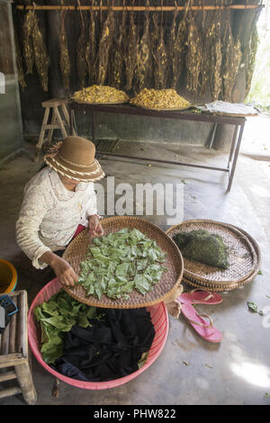 CAMBODIA PHNOM PENH SILK ISALND PRODUCTION Stock Photo