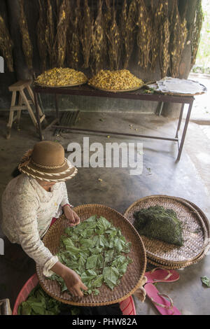 CAMBODIA PHNOM PENH SILK ISALND PRODUCTION Stock Photo