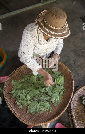 CAMBODIA PHNOM PENH SILK ISALND PRODUCTION Stock Photo