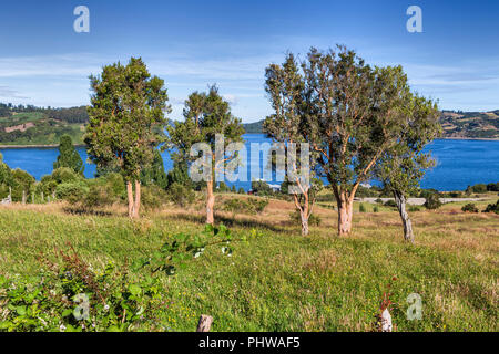 Sea of Chiloe coast, Quinchao, Chiloe island, Los Lagos region, Chile Stock Photo