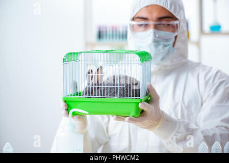 Scientist doing testing on animals rabbit Stock Photo