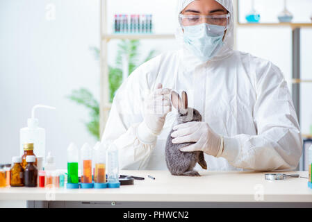 Scientist doing testing on animals rabbit Stock Photo