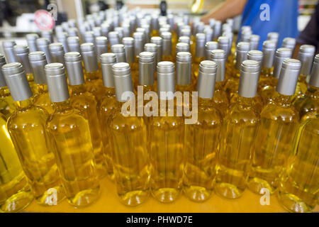 White wine bottles in a winery Stock Photo