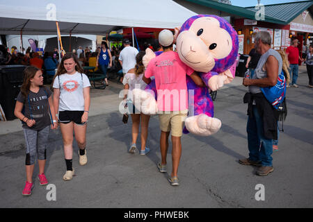 big carnival stuffed animals