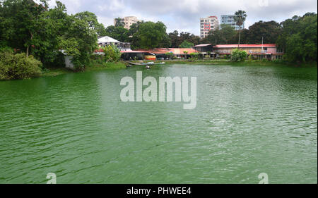 Rabindra Sarobar (previously known as Dhakuria Lake) is an artificial lake in south Kolkata in the Indian state of West Bengal. Stock Photo