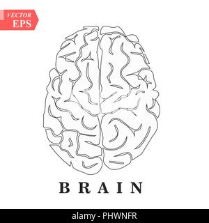 Brain, mind or intelligence line art icon for apps and websites Stock Vector