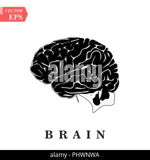 Head with brain vector icon EPS10. Simple isolated silhouette symbol. Stock Vector