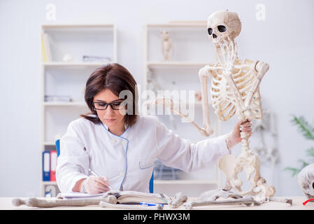 Doctor working in the lab on skeleton Stock Photo