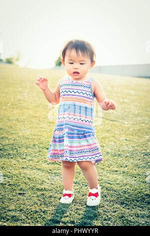 Portrait of a cute adorable little chinese asian vietnamese girl child, one two years old, in dress with ornaments and white shoes, standing on field  Stock Photo