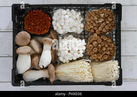 a selection of fresh uncooked exotic mushroom varieties Stock Photo