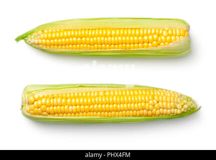 Corn Ears Isolated on White Background Stock Photo