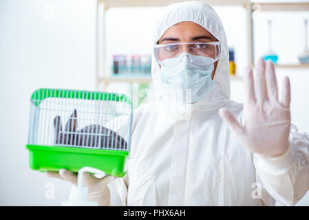 Scientist doing testing on animals rabbit Stock Photo